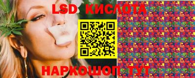 сатива Краснодар
