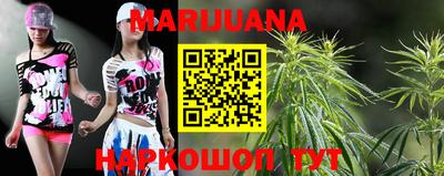сатива Краснодар